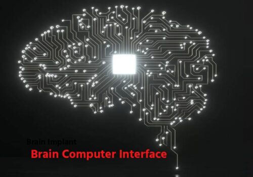 चीनका ब्रेन–कम्प्युटर इन्टरफेस उद्योग पनि तीव्र गतिमा अघि बढ्दै, न्युरालिङ्कलाई टक्कर दिन सक्ने
