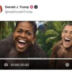 ओबामालाई बाँदरका रूपमा चित्रण गरेको भिडियो पोस्ट