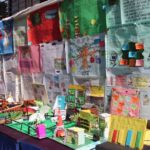 नवोदित कलेजमा ‘विज्ञान प्रदर्शनी’ सुरु