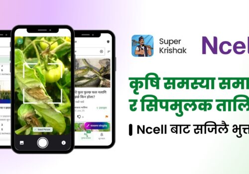 किसानलाई डिजिटल कृषि सेवा दिन एनसेल र सुपर कृषकको सहकार्य