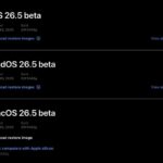 एप्पलले विकासकर्ताहरूका लागि जारी गर्यो पहिलो आईओएस २६.५ बिटा भर्सन