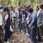 पाँच सय ८० स्वचालित क्यामरामार्फत शुक्लाफाँटामा बाघ गणना सुरु