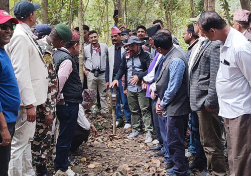 पाँच सय ८० स्वचालित क्यामरामार्फत शुक्लाफाँटामा बाघ गणना सुरु