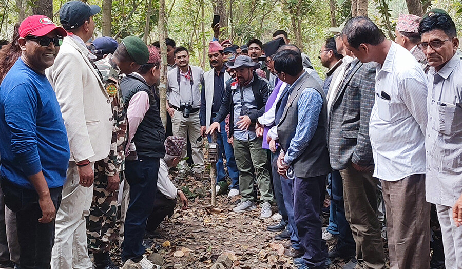 पाँच सय ८० स्वचालित क्यामरामार्फत शुक्लाफाँटामा बाघ गणना सुरु