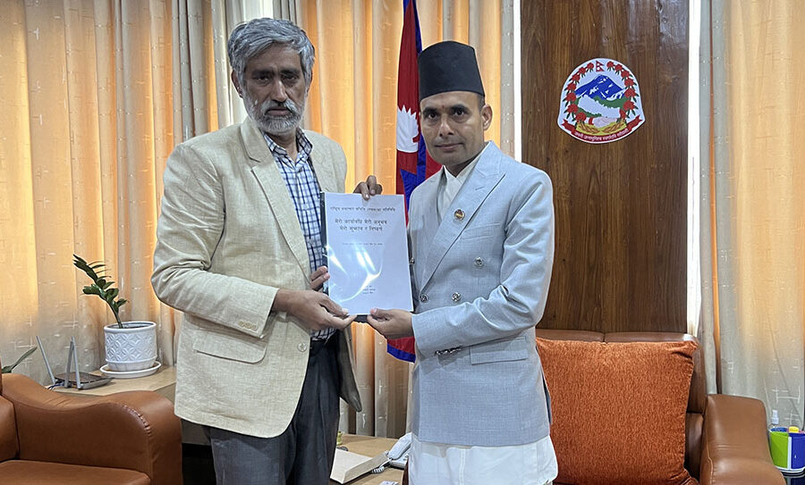 राष्ट्रिय समाचार समितिका कार्यकारी अध्यक्ष झाद्वारा राजीनामा