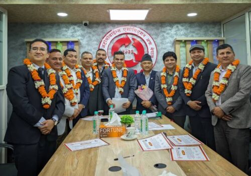 उप्रेतीको अध्यक्षतामा नाडाको २९ सदस्यीय नयाँ केन्द्रीय कार्य समिति गठन