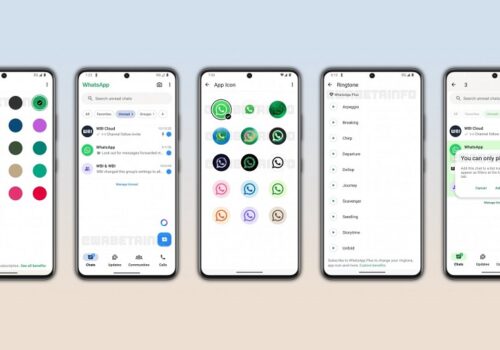 ह्वाट्सएपले सब्सक्रिप्सन सेवा लन्च गर्दै