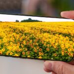 आईफोन १८ को डिस्प्ले डाउनग्रेडको बारेमा विस्तृत जानकारी बाहिरियो