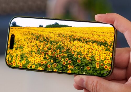 आईफोन १८ को डिस्प्ले डाउनग्रेडको बारेमा विस्तृत जानकारी बाहिरियो