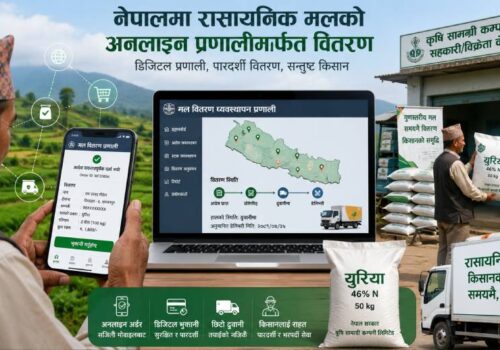 चितवनमा अनलाइन प्रणालीबाट मल वितरण