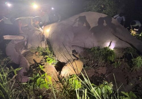 ‘ध्रुवे’लाई ‘रेडियो कलर’ जडान गरेर छाडियो