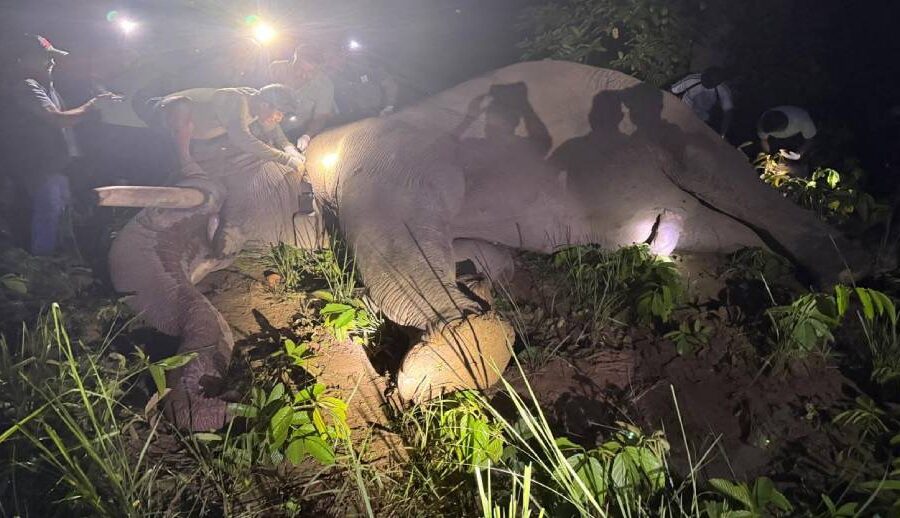 ‘ध्रुवे’लाई ‘रेडियो कलर’ जडान गरेर छाडियो