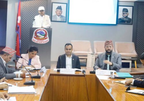 यो वर्ष टेलिफोन र इन्टरनेट सेवा सुधारको वर्ष हुनेछ: सञ्चारमन्त्री तिमिल्सिना