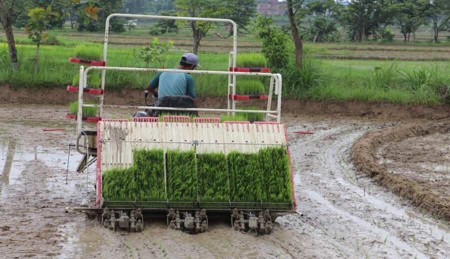 रोपाइँ गर्न आधुनिक प्रविधिको प्रयोग