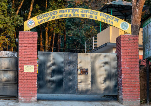 शिवपुरी–नागार्जुन राष्ट्रिय निकुञ्जमा ई–टिकेटिङ सेवाको सफल परीक्षण सुरु, ६ महिनाभित्र सबै निकुञ्ज र आरक्षमा विस्तार गरिने