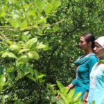 यूट्युब हेरेरै व्यावसायिक कृषिमा शेर्पा