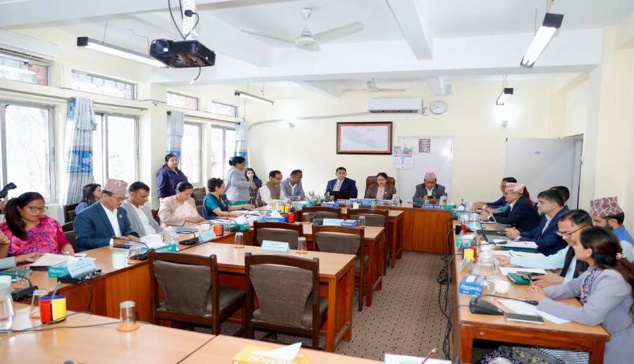 प्रतिनिधिसभाको शिक्षा समितिमा विधि विज्ञान प्रमुखको योग्यता र कर्तव्यबारे छलफल