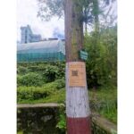 ड्रोनमार्फत घाँस प्रजातिका बिरुवा छरिएको गत्लाङको वनमा ‘क्यूआर कोड’ पुस्तकालय निर्माण