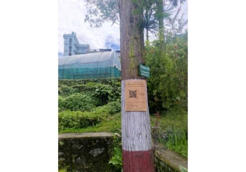 ड्रोनमार्फत घाँस प्रजातिका बिरुवा छरिएको गत्लाङको वनमा ‘क्यूआर कोड’ पुस्तकालय निर्माण